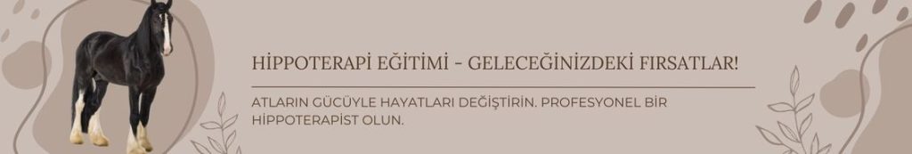 Hippoterapi Eğitimi