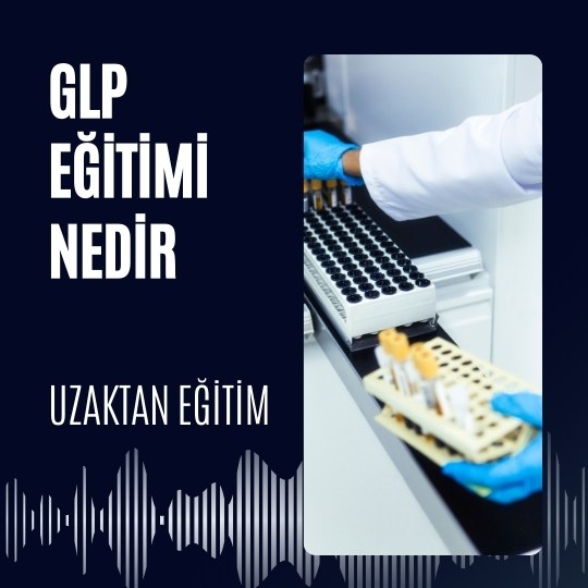 GLP Eğitimi