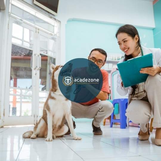 Veteriner Hekim İş İlanları