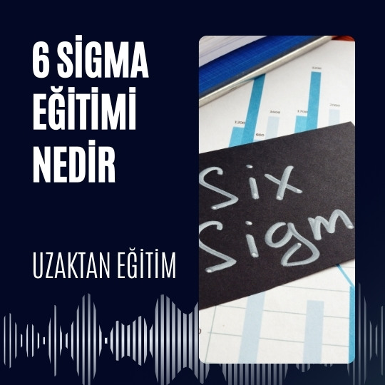 6 Sigma Eğitimi Nedir